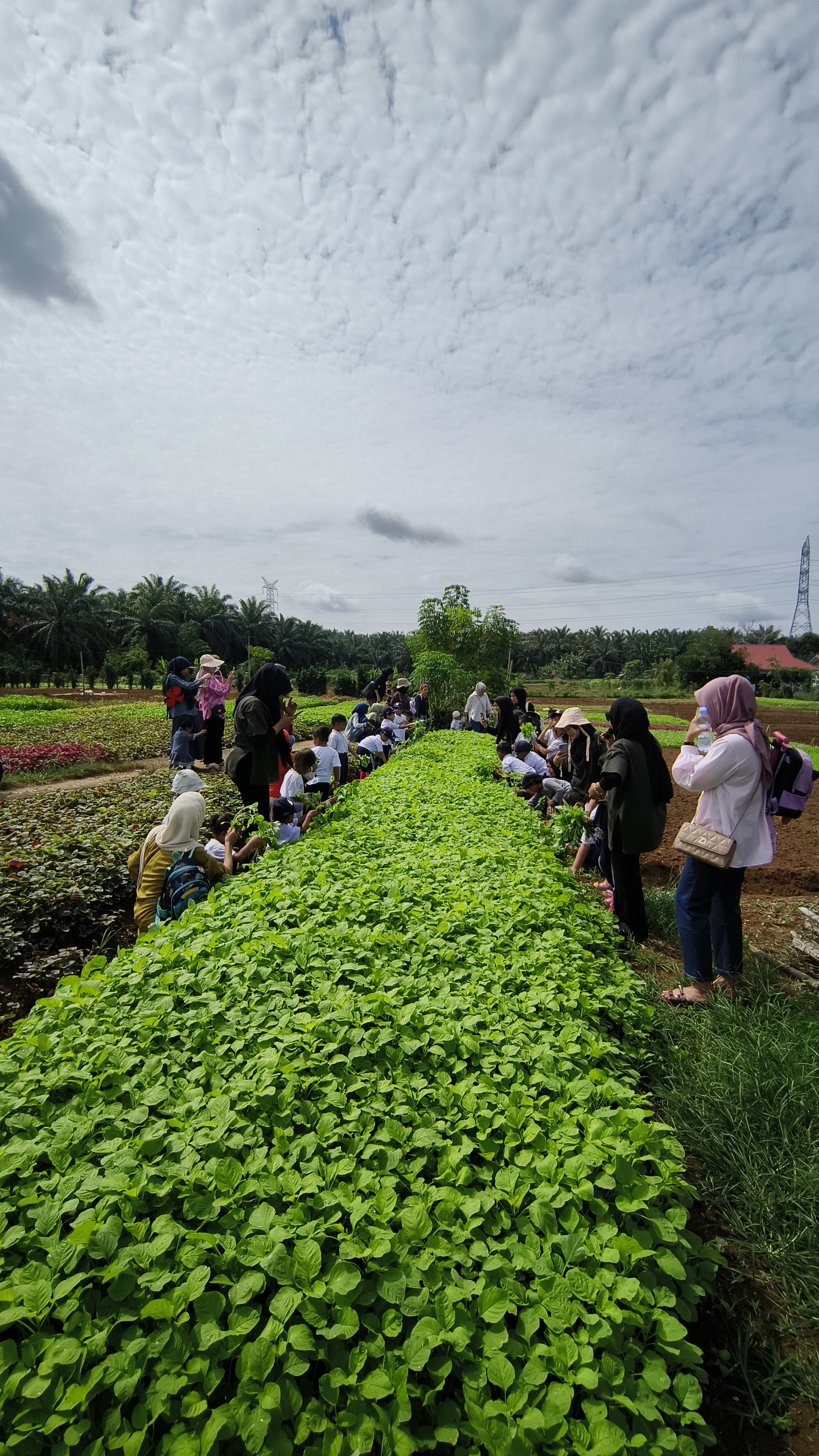 Service representation